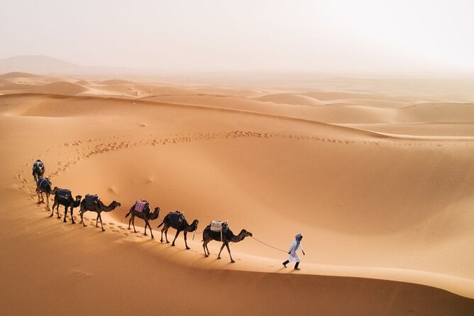 5 Days Sahara Desert Tour From Casablanca & Night In Luxury Camp - Included Activities