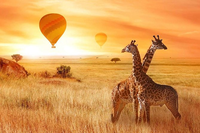 5-days-tanzania-safari-tarangire-serengeti-ngorongoro-and-lake-manyara-safari-highlights