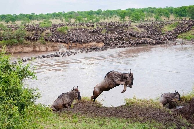 5-days-tarangireserengetingorongoromanyara-camping-safari-tour-tanzania-overview-of-the-safari