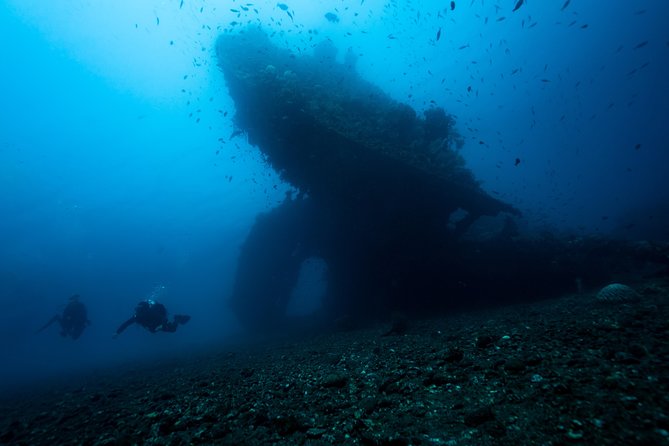 5-fun-dives-in-tulamben-for-certified-divers-discover-famous-diving-sites-dive-site-highlights-in-tulamben