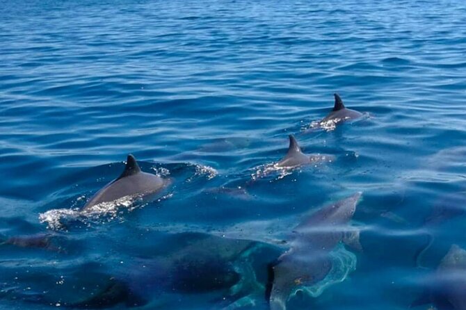 5-islands-south-east-discovery-adventure-itinerary