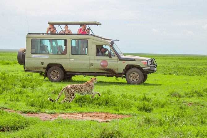 6 Day Tanzania Wildlife Mid Range Safari - Tarangire National Park