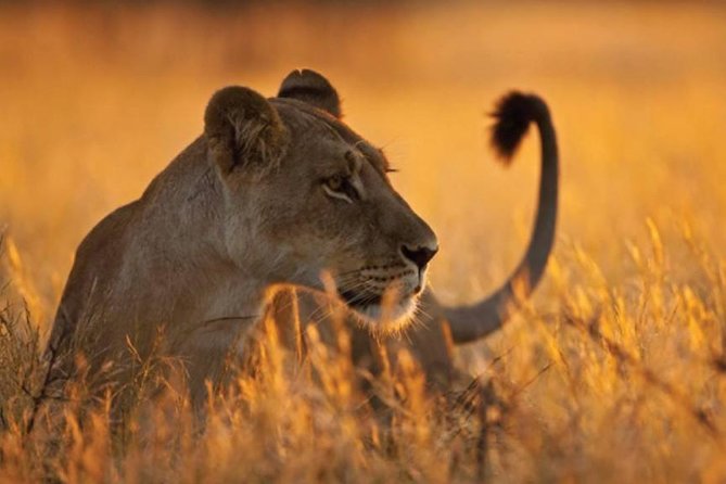 6-days-5-nights-lodge-safari-tarangire-manyara-serengeti-ngorongoro-crater-accommodation-overview