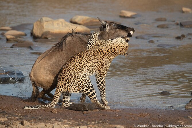 6 Days Kenya Adventure Wildlife Safari - Itinerary Overview