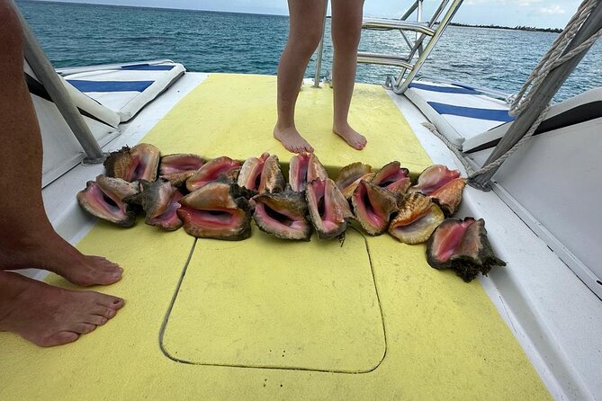6hr-Provo Cays Exploration With Lunch in Gracebay