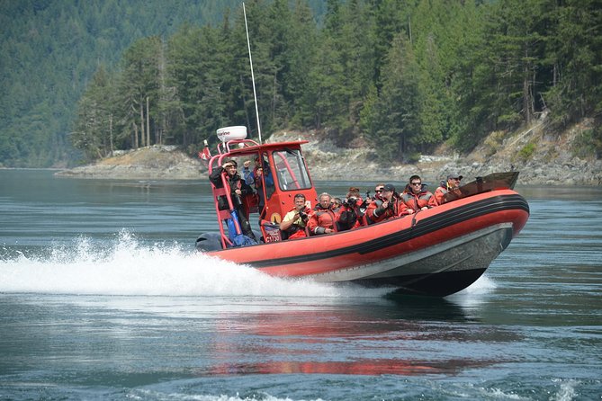 7-8 Hour Zodiac Whale Watching Tour