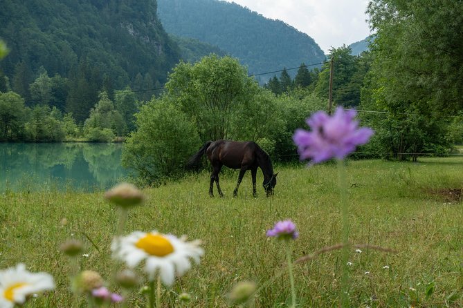 7-alpine-wonders-day-tour-bled-soca-valley-slovenia-tour-overview