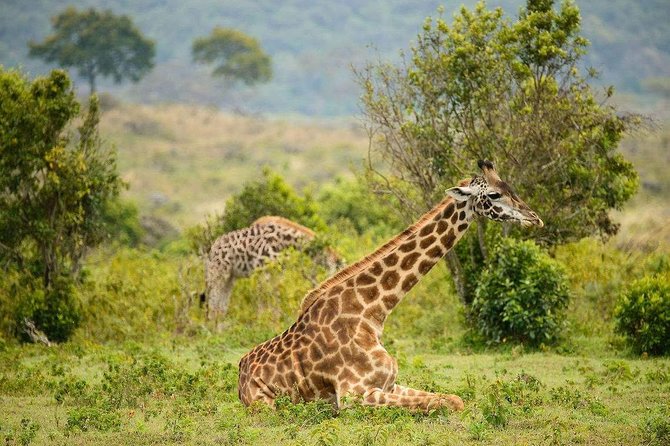 7 Days Safari Tour Tanzania