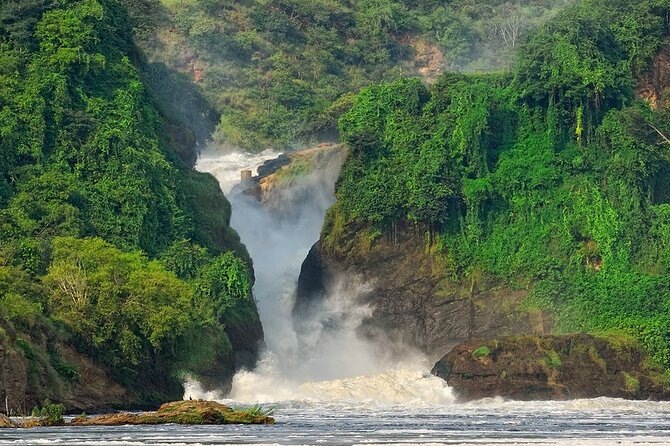 8-Day Murchison Falls, Chimp and Epic Gorilla Trekking - Inclusions and Amenities