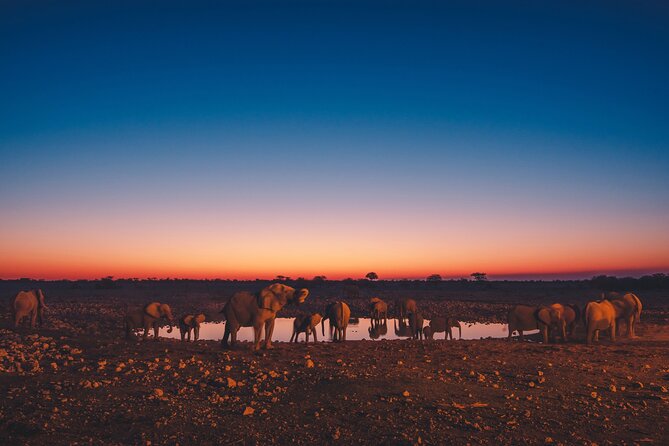 9 Day Etosha, Skeleton Coast and Sossusvlei Camping and Lodge Safari - Trip Details