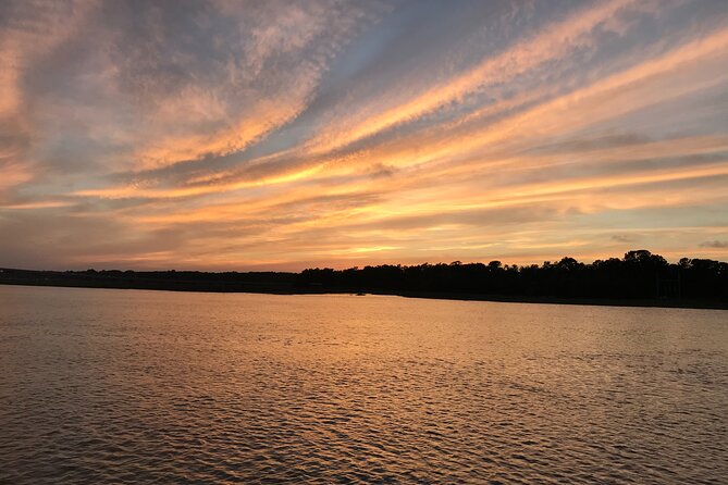 90 Minute Tour to See Dolphins in Hilton Head Island