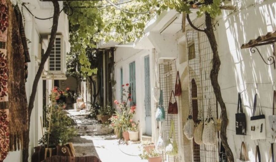 a-culinary-journey-to-lassithi-plateau-from-heraklion-venture-to-lassithi-plateau