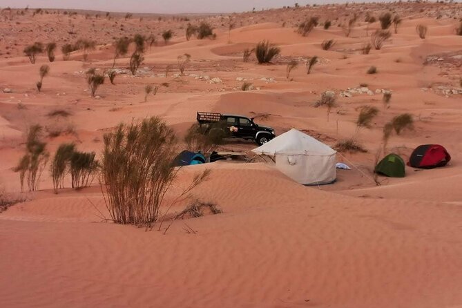 A Private Night at the Desert of Tozeur