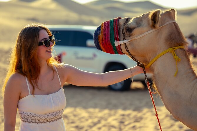 Abu Dhabi Evening Desert Safari - Dune Bashing Camel Ride and BBQ