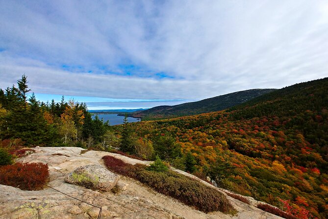 Acadia Full Day Small Group Tour - Tour Overview