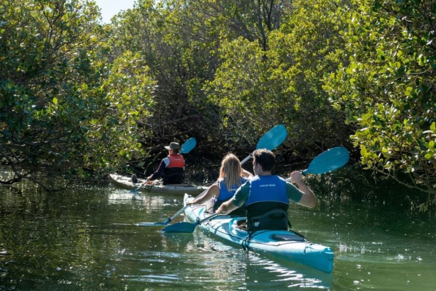 Adelaide: Dolphin Sanctuary Eco Kayaking Tour - Tour Overview