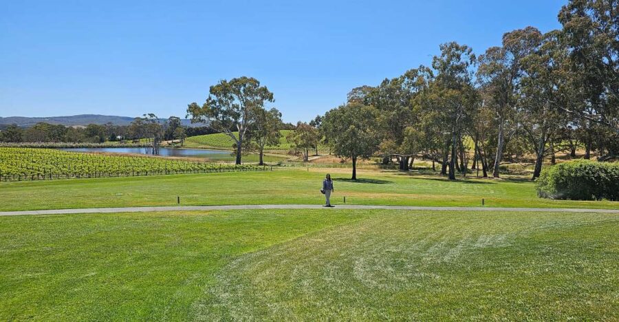 adelaide-hahndorf-hills-wine-and-or-gin-tour-tour-details