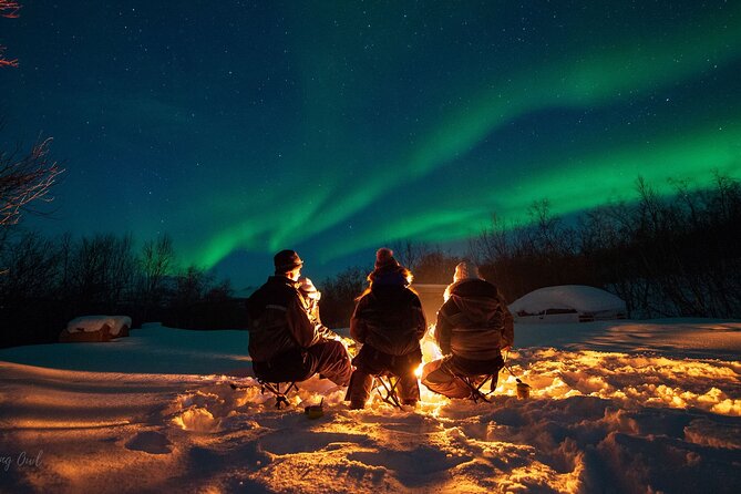 Adults Only Aurora Hunt Tour With Citizen Science in Tromso