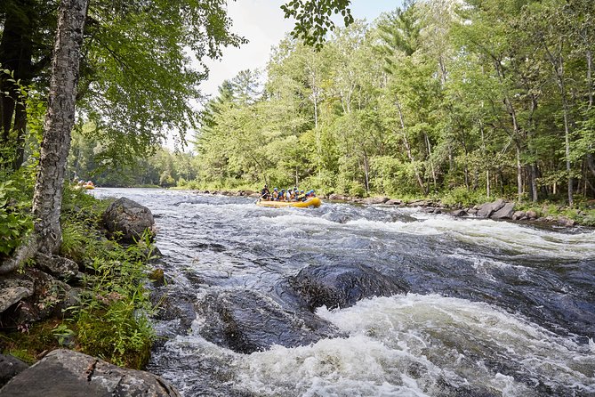 Adventure Rafting on the Madawaska River - Overview