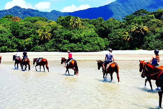 afternoon-beach-horse-ride-in-cape-tribulation-tour-overview