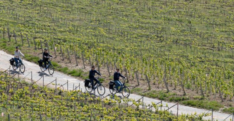 Afternoon E-Bike Champagne Tour From Reims