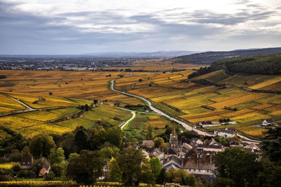 Afternoon in the Côte De Nuits, Small Group