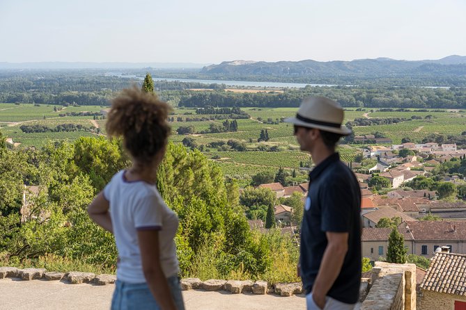 Afternoon Wine Tour to Chateauneuf Du Pape From Avignon