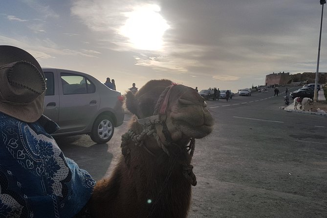 Agadir City Tour