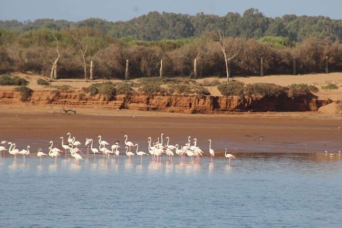 Agadir Desert Safari Day Tour With Lunch - Tour Overview