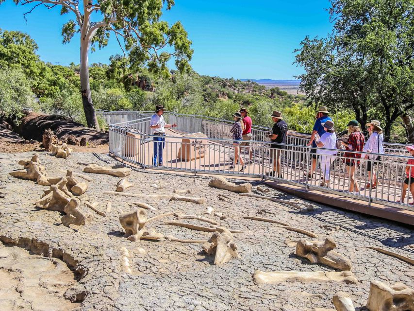 age-of-dinosaurs-museum-half-day-tour-rdt-guided-transfers-tour-overview