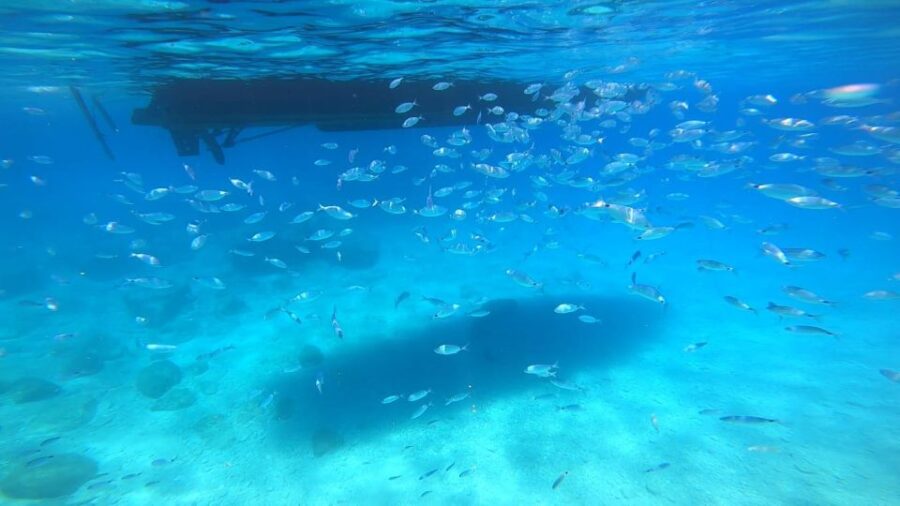 Agios Nikolaos: Blue Caves and Navagio Bay Swim Cruise