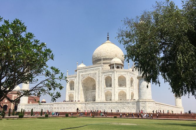 Agra Hotels Private Transfer From New Delhi Airport - Overview and Service Details
