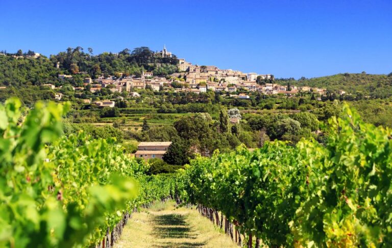 Aix-en-Provence: Half-Day Wine Tour