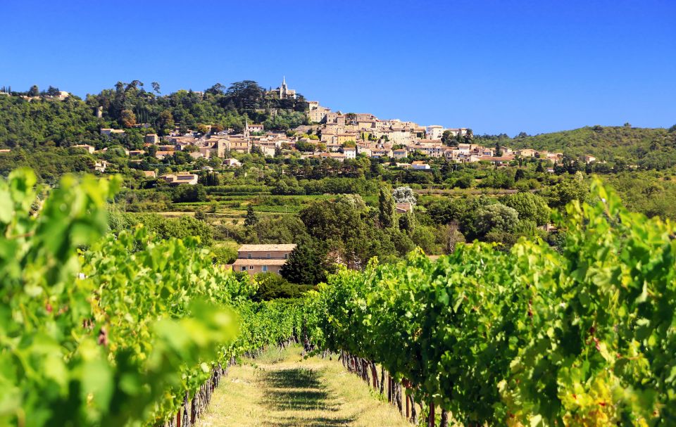 Aix-en-Provence: Half-Day Wine Tour - Tour Overview
