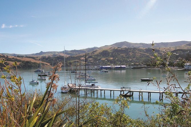 Akaroa Shore Excursion: Banks Peninsula and Christchurch City Sights Tour
