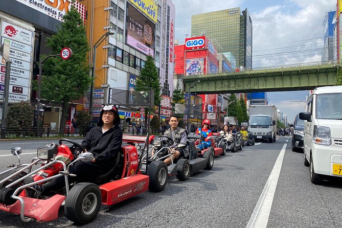 Akihabara: Go-Kart Experience With Local Guide in Tokyo