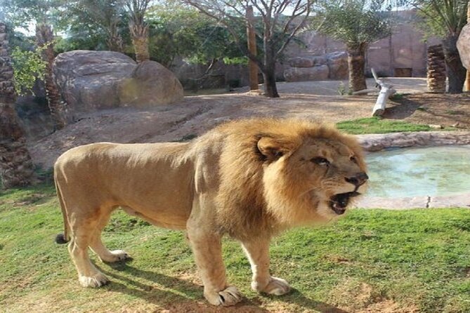 Al Ain Garden City Tour From Dubai - Overview of the Tour