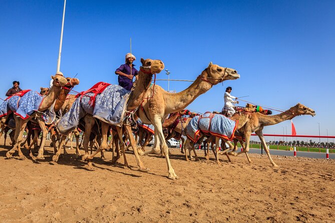 Al Ain Tour From Abu Dhabi