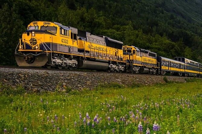 alaska-railroad-fairbanks-to-denali-one-way-overview-of-the-journey