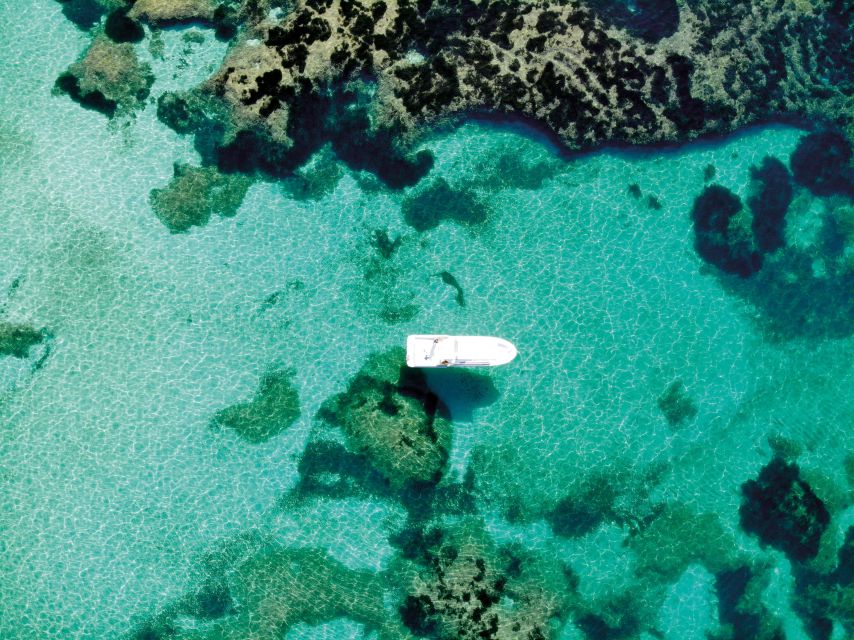 Alcudia: Small-Group Coastal Cruise and Snorkeling - Tour Overview