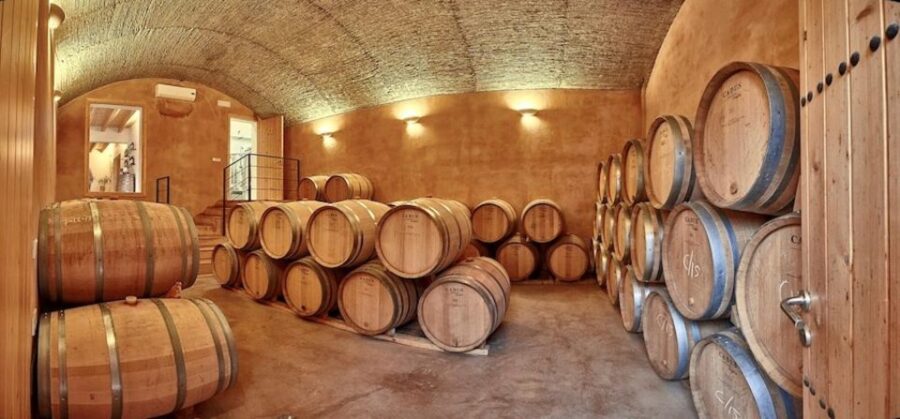 Alcudia: Vineyard Tour & Exclusive Wine Tasting Experience - Experience Overview