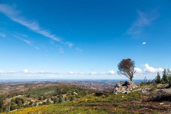 algarve-a-la-carte-highlights-of-the-excursion
