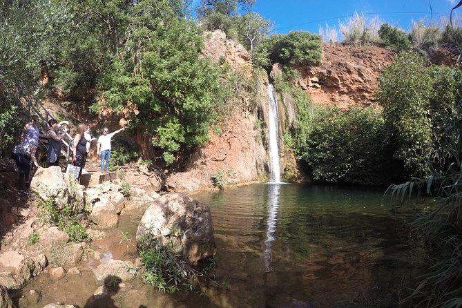 Algarve Safari - Full Day Tour From Albufeira W / Lunch