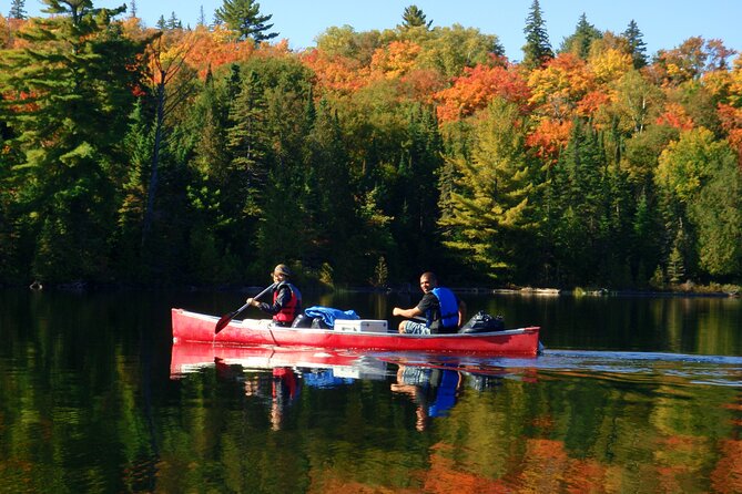 algonquin-park-4-day-luxury-moose-beaver-turtle-camping-canoeing-adventure-park-overview