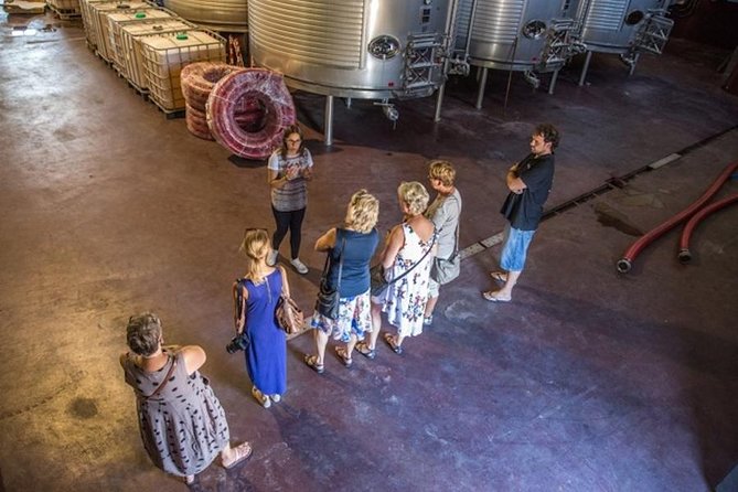 Alicante Wine Tour With Wine Tasting
