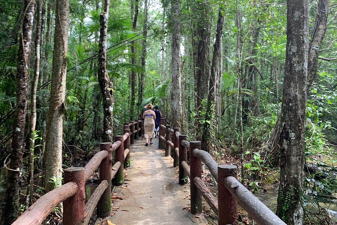 All Day Krabi Jungle Tour (Hot Spring Water, Emerald Pool, Tiger Cave Temple) - Tour Overview