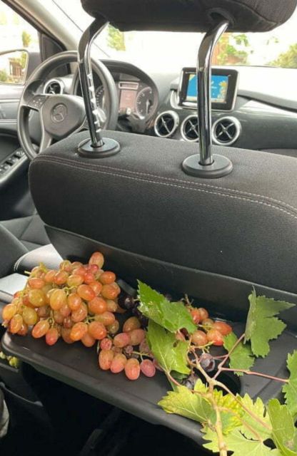 all-day-wine-tasting-tour-tour-overview