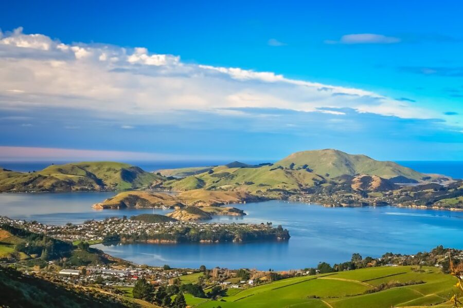 All in Dunedin - Nature & City Tour