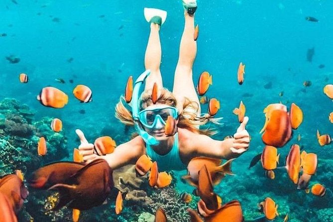 All Inclusive : Bali Blue Lagoon Snorkeling, Lunch, and Transport - Included Features