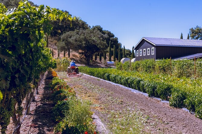 All-Inclusive Full-Day Wine Tasting Tour From Santa Barbara